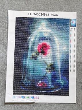 Finished Beauty & Beast Rose in Glass Bell Jar Diamond Painting Canvas